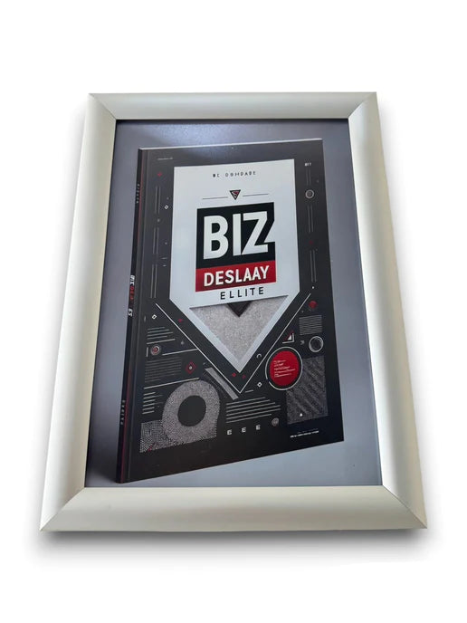 Snap Frames 24x36 by Biz Display Elite