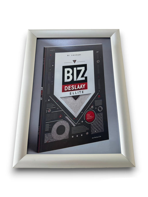 Snap Frames 24x36 by Biz Display Elite